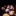 International Dance Competition Berlin: Switzerlan...